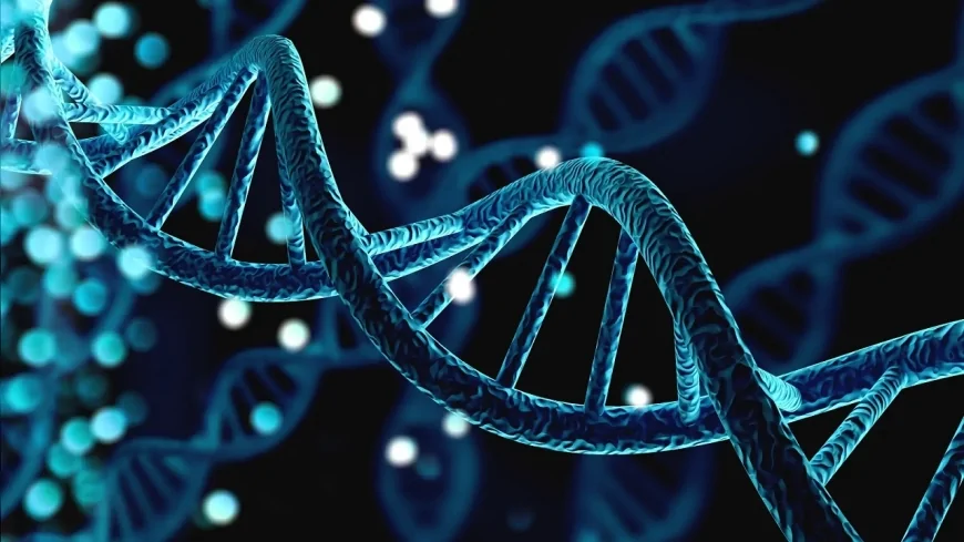 23andMe iflas etti, 15 milyon kişinin DNA verileri için ikinci ihale düzenleniyor