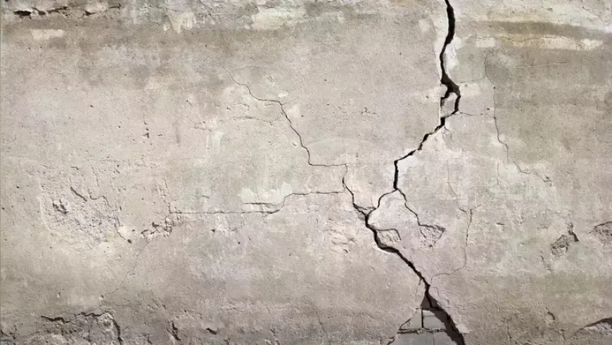 Bilim insanları sentetik likenle çatlakları onaran beton geliştirdi: 'Yalnızca hava, ışık ve suyla çalışıyor'
