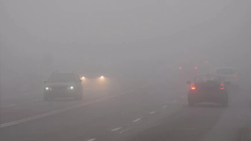Islak Yol, Sisli Hava, Buzlanma: Fren Mesafesini Uçuruma Çeviren Hava Şartları