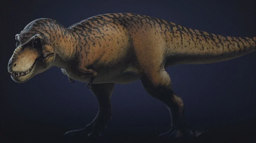 Tyrannosaurus rex’i tahttan indiren keşif: ‘Ejderha Prensi’ dinozor tarihini yeniden yazıyor