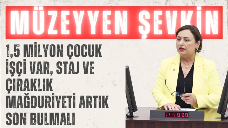 CHP’li Müzeyyen Şevkin: ‘1,5 milyon çocuk işçi var, staj ve çıraklık mağduriyeti artık son bulmalı’