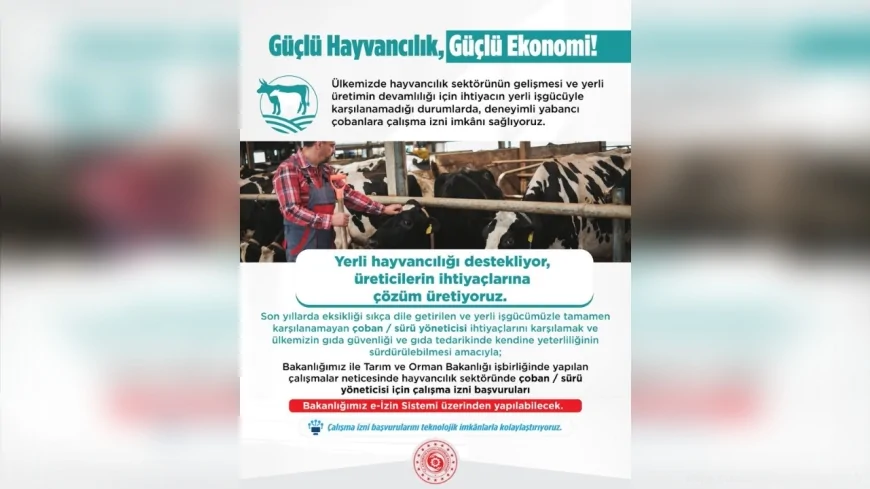 Yabancı Çoban ve Hayvan Bakıcıları İçin Çalışma İzni Başvuruları Başladı: İşte Süreç ve Kriterler