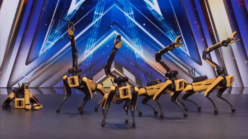 Spot robotları America's Got Talent sahnesinde yere düştü: 'Gösteriye devam ettiler'