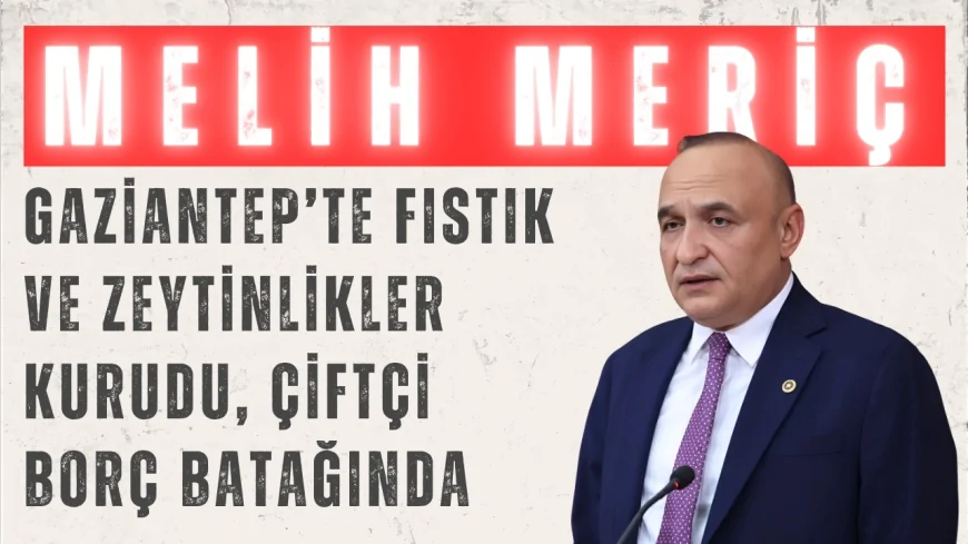CHP’li Melih Meriç: ‘Gaziantep’te fıstık ve zeytinlikler kurudu, çiftçi borç batağında’
