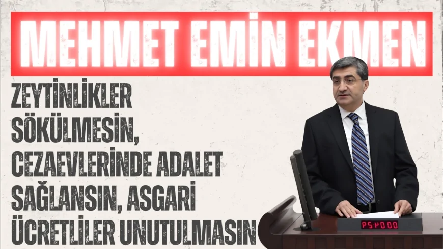 DEVA Partili Mehmet Emin Ekmen: ‘Zeytinlikler sökülmesin, cezaevlerinde adalet sağlansın, asgari ücretliler unutulmasın’