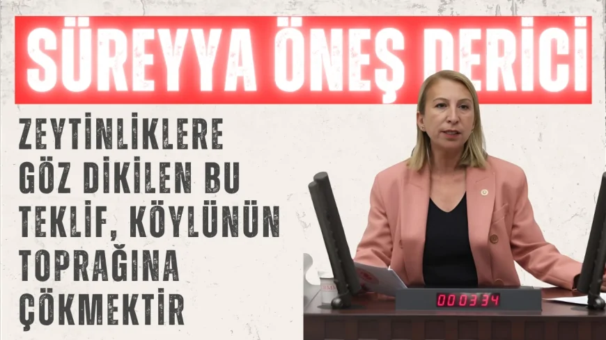 CHP’li Süreyya Öneş Derici: ‘Zeytinliklere göz dikilen bu teklif, köylünün toprağına çökmektir’