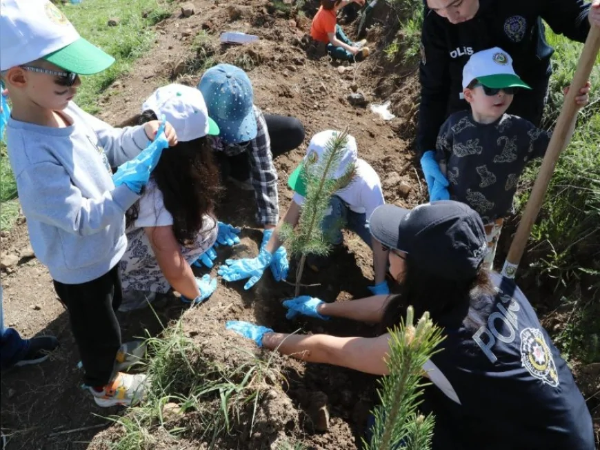 Şehit Polis Zekai Aktaş'ın Annesinin Hatıra Ormanı Vasiyeti 1000 Fidanla Gerçek Oldu