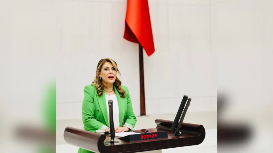 CHP Giresun Milletvekili Elvan Işık Gezmiş: 'Asıl kamu yararı toprağı, suyu, havayı korumaktır; fındık bahçelerimizden elinizi çekin!'