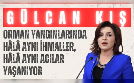 CHP Mersin Milletvekili Gülcan Kış: "Orman yangınlarında hâlâ aynı ihmaller, hâlâ aynı acılar yaşanıyor"