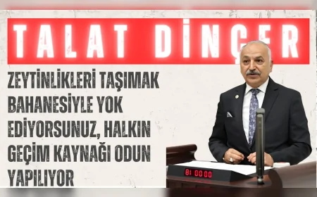 CHP Mersin Milletvekili Talat Dinçer: "Zeytinlikleri taşımak bahanesiyle yok ediyorsunuz, halkın geçim kaynağı odun yapılıyor"
