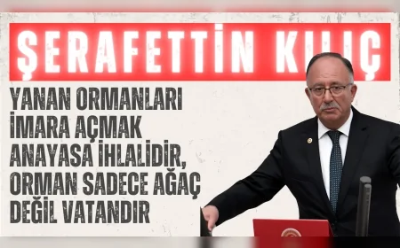Saadet Partili Şerafettin Kılıç: "Yanan ormanları imara açmak Anayasa ihlalidir, orman sadece ağaç değil vatandır"