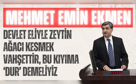DEVA Partili Mehmet Emin Ekmen: "Devlet eliyle zeytin ağacı kesmek vahşettir, bu kıyıma ‘dur’ demeliyiz"