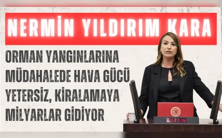 CHP Hatay Milletvekili Nermin Yıldırım Kara: "Orman yangınlarına müdahalede hava gücü yetersiz, kiralamaya milyarlar gidiyor"