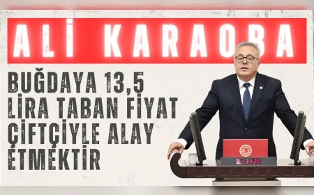CHP Uşak Milletvekili Ali Karaoba: "Buğdaya 13,5 lira taban fiyat çiftçiyle alay etmektir"