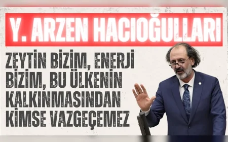 AK Parti İstanbul Milletvekili Yücel Arzen Hacıoğulları: "Zeytin bizim, enerji bizim, bu ülkenin kalkınmasından kimse vazgeçemez"