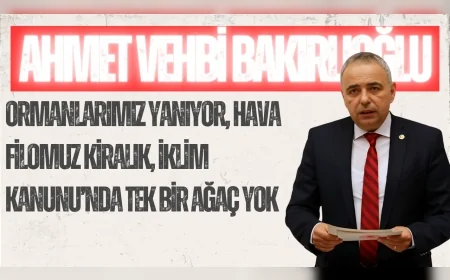CHP’li Ahmet Vehbi Bakırlıoğlu: "Ormanlarımız yanıyor, hava filomuz kiralık, İklim Kanunu’nda tek bir ağaç yok"