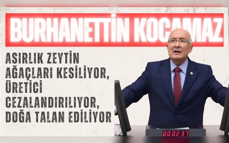 İYİ Parti Mersin Milletvekili Burhanettin Kocamaz: "Asırlık zeytin ağaçları kesiliyor, üretici cezalandırılıyor, doğa talan ediliyor"