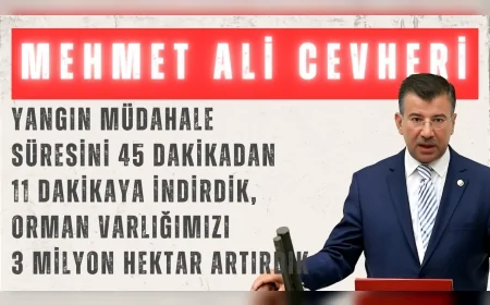AK Parti Şanlıurfa Milletvekili Mehmet Ali Cevheri: "Yangın müdahale süresini 45 dakikadan 11 dakikaya indirdik, orman varlığımızı 3 milyon hektar artırdık"
