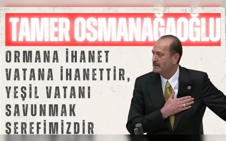 MHP’li Tamer Osmanağaoğlu: “Ormana ihanet vatana ihanettir, yeşil vatanı savunmak şerefimizdir”
