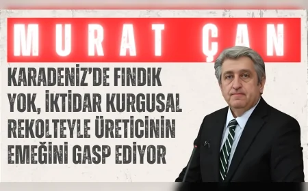 CHP’li Murat Çan: "Karadeniz’de fındık yok, iktidar kurgusal rekolteyle üreticinin emeğini gasp ediyor"