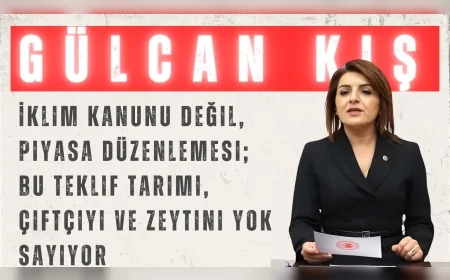 CHP’li Gülcan Kış: “İklim Kanunu değil, piyasa düzenlemesi; bu teklif tarımı, çiftçiyi ve zeytini yok sayıyor”