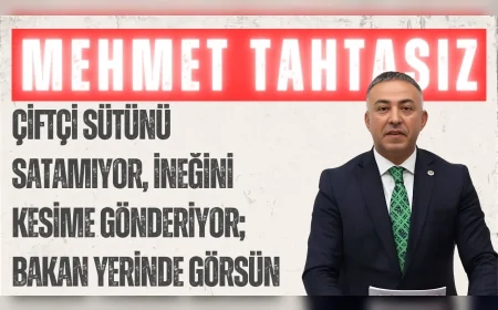 CHP’li Mehmet Tahtasız: "Çiftçi sütünü satamıyor, ineğini kesime gönderiyor; Bakan yerinde görsün"