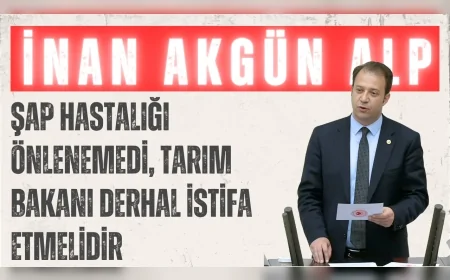 CHP’li İnan Akgün Alp: "Şap hastalığı önlenemedi, Tarım Bakanı derhal istifa etmelidir"