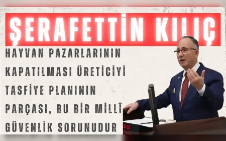Saadet Partili Şerafettin Kılıç: “Hayvan pazarlarının kapatılması üreticiyi tasfiye planının parçası, bu bir millî güvenlik sorunudur”