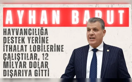 CHP’li Ayhan Barut: “Hayvancılığa destek yerine ithalat lobilerine çalıştılar, 12 milyar dolar dışarıya gitti”