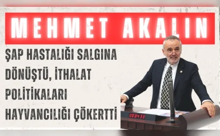 İYİ Parti’li Mehmet Akalın: “Şap hastalığı salgına dönüştü, ithalat politikaları hayvancılığı çökertti”