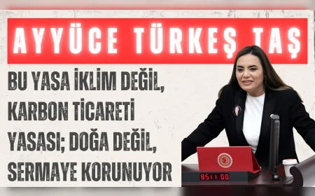 İYİ Parti’li Ayyüce Türkeş Taş: “Bu yasa iklim değil, karbon ticareti yasası; doğa değil, sermaye korunuyor”