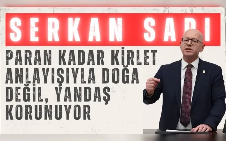 CHP’li Serkan Sarı: “Paran kadar kirlet anlayışıyla doğa değil, yandaş korunuyor”