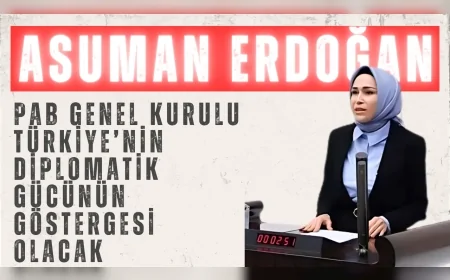 AK Parti’li Asuman Erdoğan: “PAB Genel Kurulu Türkiye’nin diplomatik gücünün göstergesi olacak”