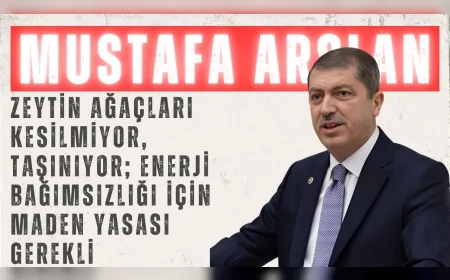 AK Parti’li Mustafa Arslan: “Zeytin ağaçları kesilmiyor, taşınıyor; enerji bağımsızlığı için Maden Yasası gerekli”