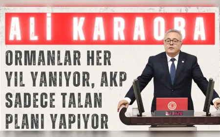 CHP’li Ali Karaoba: “Ormanlar her yıl yanıyor, AKP sadece talan planı yapıyor”