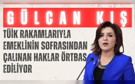 CHP’li Gülcan Kış: “TÜİK rakamlarıyla emeklinin sofrasından çalınan haklar örtbas ediliyor”
