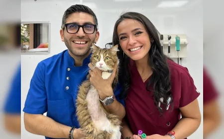 “Hayvanseverlik Değil, Yaşam Biçimi”: Dorukgiller Kliniği’nden Anlamlı Bir Yolculuk