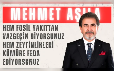 Yeniden Refah Partili Mehmet Aşıla: “Hem fosil yakıttan vazgeçin diyorsunuz hem zeytinlikleri kömüre feda ediyorsunuz”