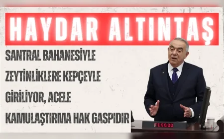 DP’li Haydar Altıntaş: “Santral bahanesiyle zeytinliklere kepçeyle giriliyor, acele kamulaştırma hak gaspıdır”