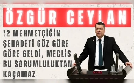 CHP’li Özgür Ceylan: “12 Mehmetçiğin şehadeti göz göre göre geldi, Meclis bu sorumluluktan kaçamaz”