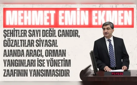 DEVA Partili Ekmen: “Şehitler sayı değil candır, gözaltılar siyasal ajanda aracı, orman yangınları ise yönetim zaafının yansımasıdır”