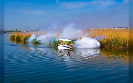 Mogan Gölü çevresinde sivrisinek ve kronomid popülasyonu için kapsamlı ilaçlama başlatıldı