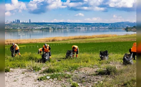 Gölbaşı Belediyesi ekipleri Mogan Gölü’nde kuş üreme alanlarında temizlik yaptı
