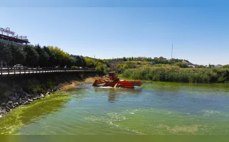 Mogan Gölü’nde müsilaj temizliği yapıldı, sivrisinek üreme alanlarında ilaçlama başlatıldı