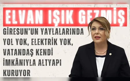 CHP’li Elvan Işık Gezmiş: “Giresun’un yaylalarında yol yok, elektrik yok, vatandaş kendi imkânıyla altyapı kuruyor”