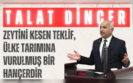 CHP’Lİ TALAT DİNÇER: “ZEYTİNİ KESEN TEKLİF, ÜLKE TARIMINA VURULMUŞ BİR HANÇERDİR”