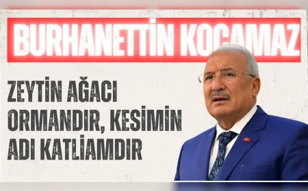 İYİ PARTİLİ KOCAMAZ: “ZEYTİN AĞACI ORMANDIR, KESİMİN ADI KATLİAMDIR”