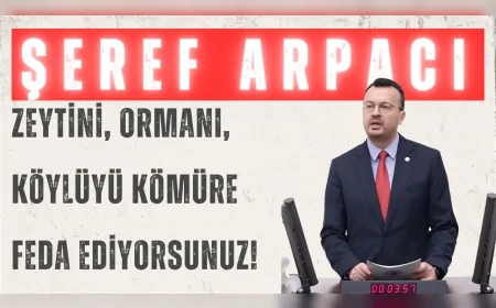 CHP'Lİ ARPACI: “ZEYTİNİ, ORMANI, KÖYLÜYÜ KÖMÜRE FEDA EDİYORSUNUZ!”