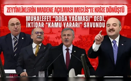 Zeytinliklerin madene açılması Meclis’te krize dönüştü: Muhalefet “doğa yağması” dedi, iktidar “kamu yararı” savundu