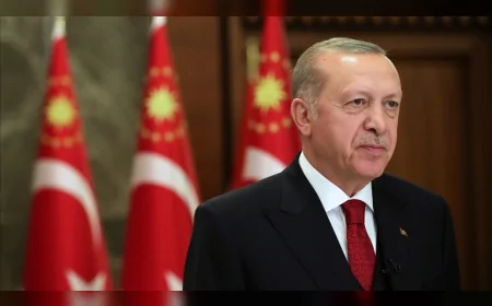 Cumhurbaşkanı Erdoğan, Güney Kore Cumhurbaşkanı Lee Jae-Myung ile görüştü
